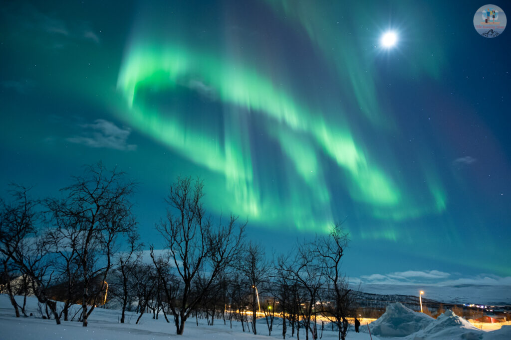 Aurora Borealis over a snowy landscape in Scandinavia